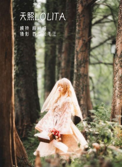苍兰诀电视剧星辰影院免费